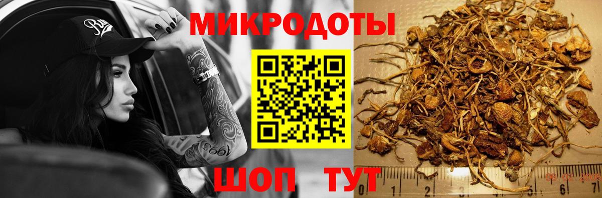 Изобильный  Псилоцибиновые грибы Psilocybe  Вход с VPN 